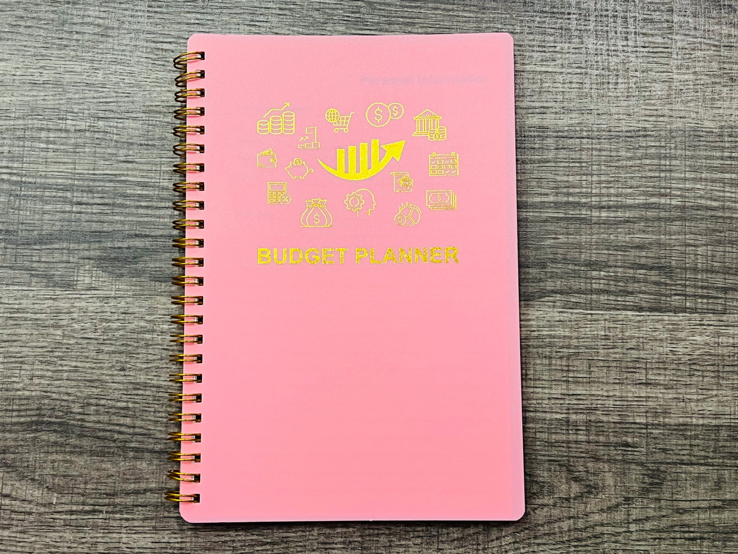 Budget Planner Notebook (1 Year Undated)